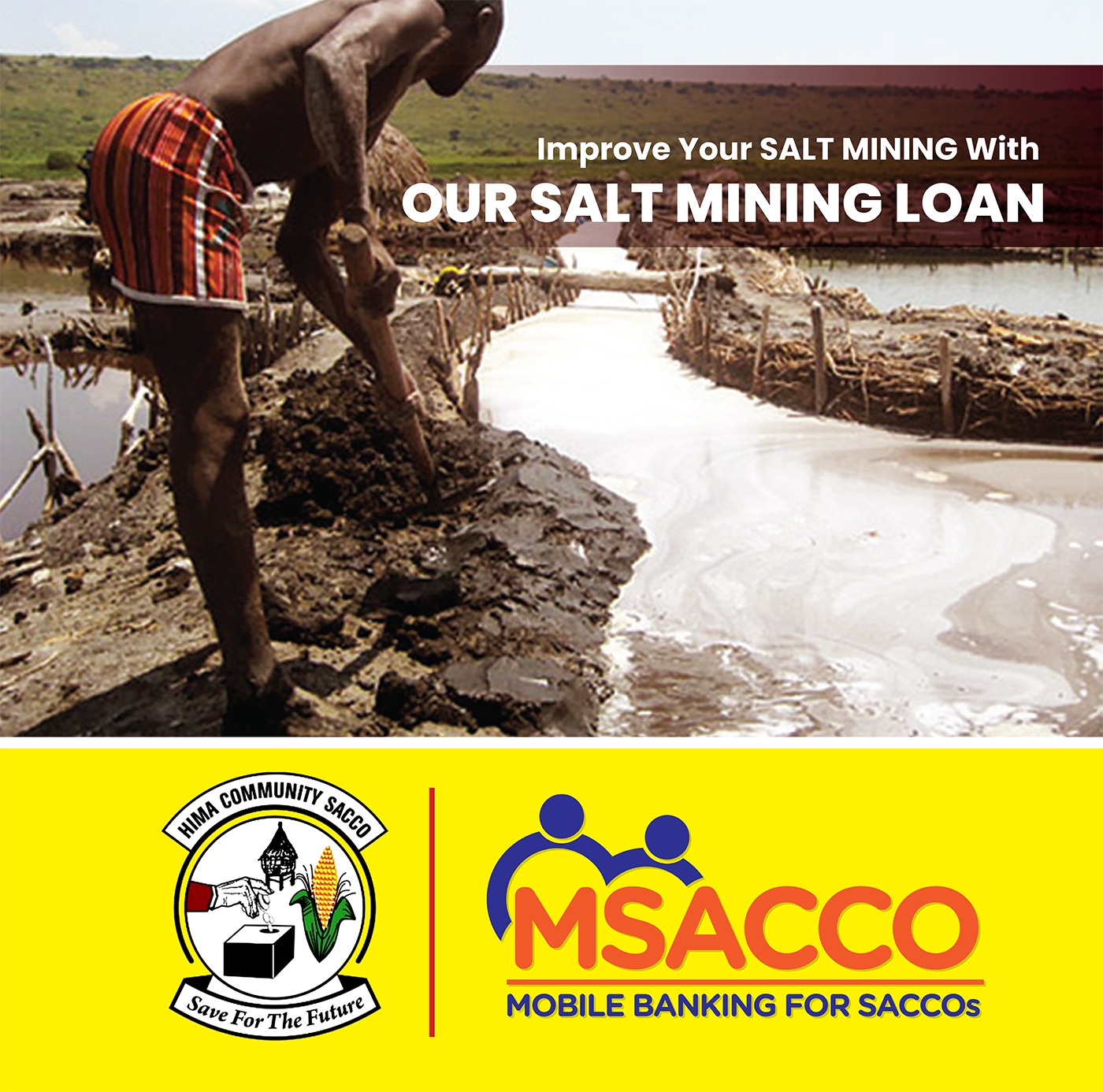 Salt Mining Loan