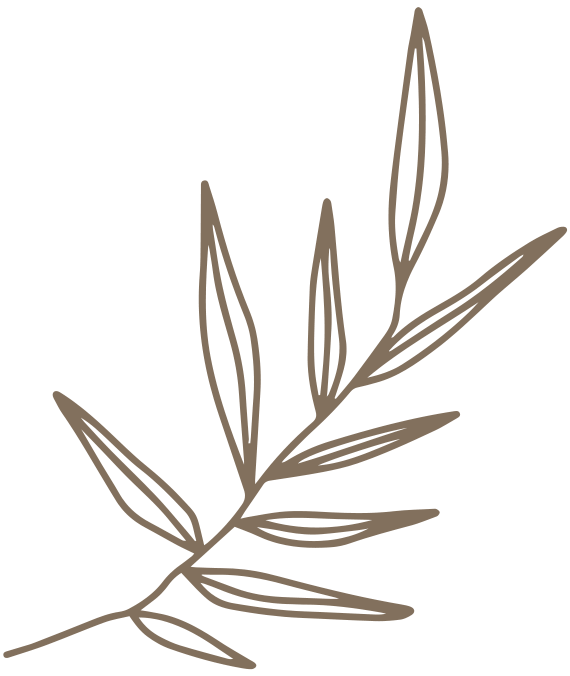 financial growth icon